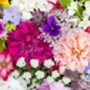 Meet your Posher, Asher